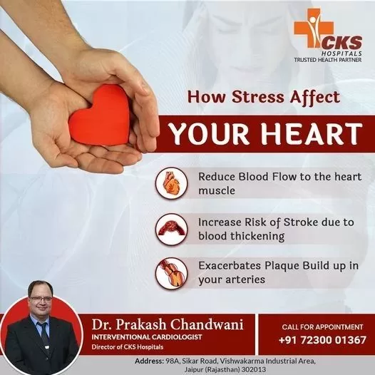 How Stress Affect YOUR HEART